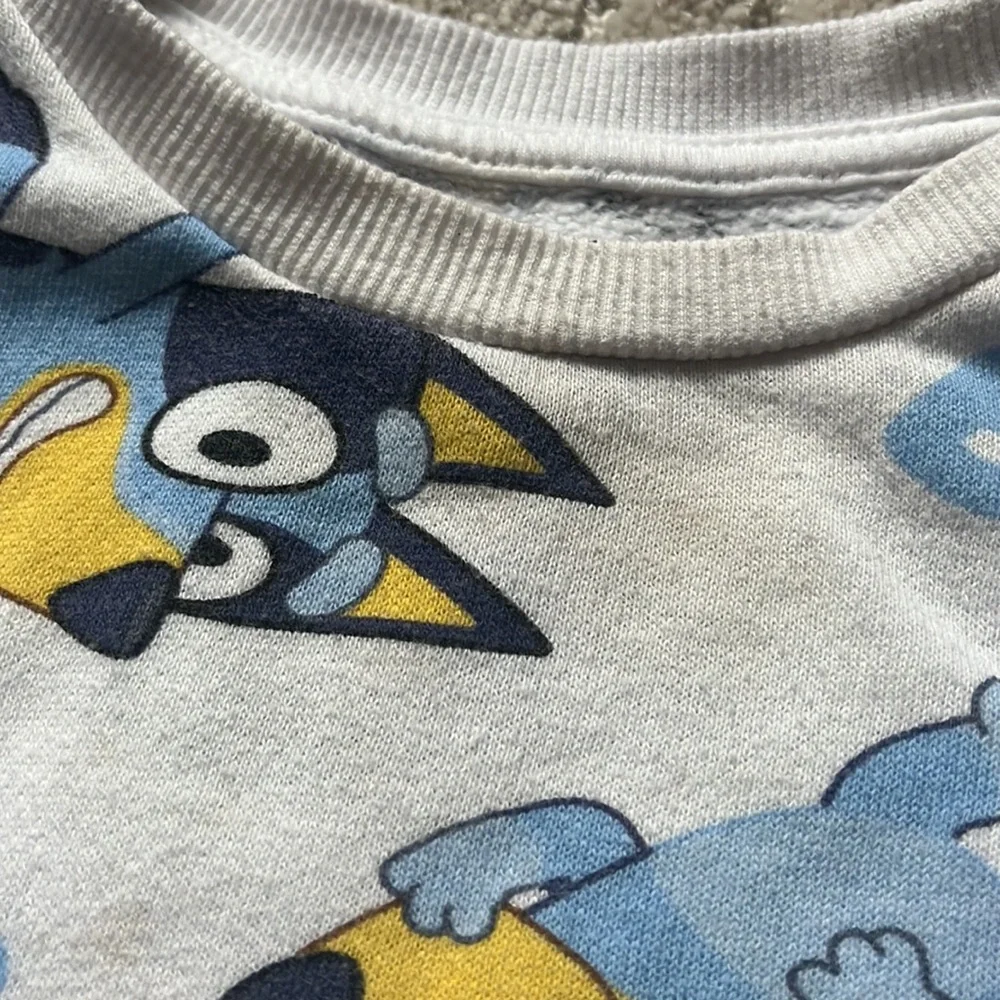 Bluey Crew Neck Sweatshirt